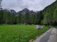 Kuppelwieser Alm from Pracupola / Kuppelwies