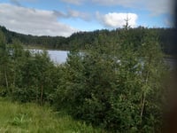 Kvernhuslia z Talset