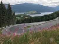 Kviteseidkleivane von Kviteseid