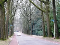 Kwakkenberg von Nijmegen