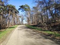 Zuurberg / Kwintenweg von Beuseberg