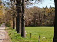 Zuurberg / Kwintenweg von Beuseberg