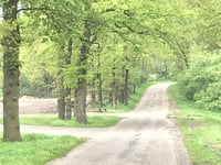 Zuurberg / Kwintenweg von Beuseberg