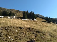 L'Ébaudiaz from Notre Dame des Millières