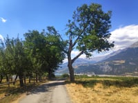 L'Osselin da Crots
