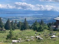 La Barillette da Gingins