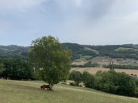 La Bâtie von Lornay