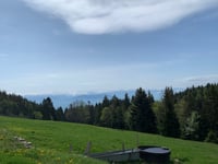 La Baudichonne von La Rippe