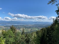 La Baudichonne von La Rippe