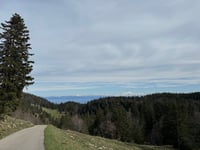 La Baudichonne von La Rippe