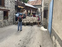 La Bérarde