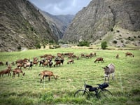 La Chalp da Embrun