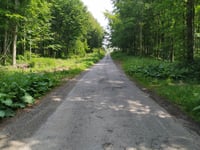La Croix des Loups von Montaigu