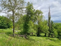 La Dent da Sommières