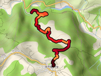 La Figuera da Riu de Montsant
