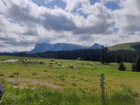 La Goille aux Cerfs from Semsales