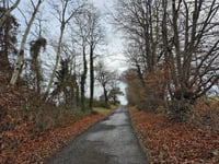 La Haute Saurée von Dison