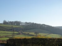 La Lande du Chaineux da Mangombroux