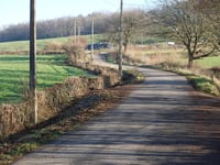 La Lande du Chaineux da Mangombroux