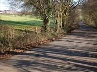 La Lande du Chaineux da Mangombroux
