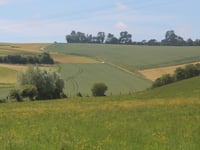 La Malmaison von Beussent