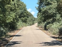 La Maluenga