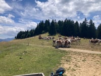 La Molière von Col de la Croix Perrin