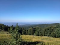 La Montagne de Lure from Valbelle
