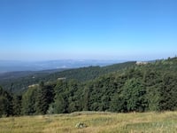 La Montagne de Lure from Valbelle