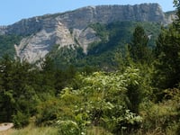 La Montagne de Lure from Valbelle