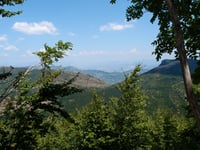La Montagne de Lure from Valbelle