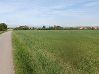 La Mottelette von Tardinghen