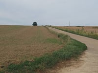 La Niestrée