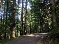La Perrière desde d'Héré