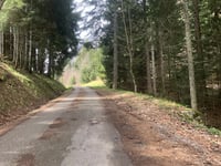 La Perrière von d'Héré