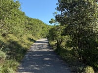 La Plaine de Tarnis von La Petité Loubière
