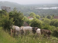 La Roucherie von Lottinghen