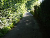 La Saute