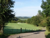 La Saute