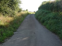 La Saute
