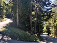 La Savonne da Sainte Foy Tarentaise