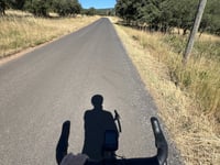 La Taillade von Cournonterral