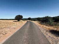 La Taillade von Cournonterral