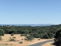 La Taillade von Cournonterral