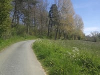La Taillette via Les Bruyères