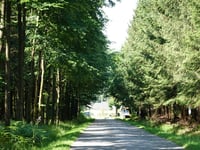 La Vecquée von Ville au Bois