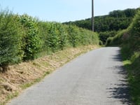 La Vequeterre depuis Winamplanche