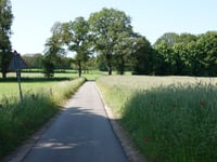 Laarsenberg depuis Laareind