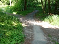 Laarsenberg depuis Laareind