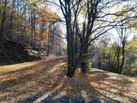 Les Lacets du Lac de la Gileppe von Béthane